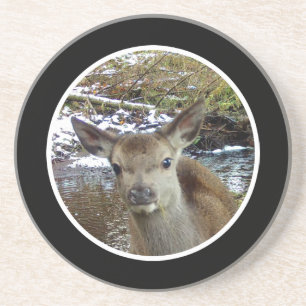 Porta-copos Bebê Corça Adorável Fawn Posando na Floresta Silve