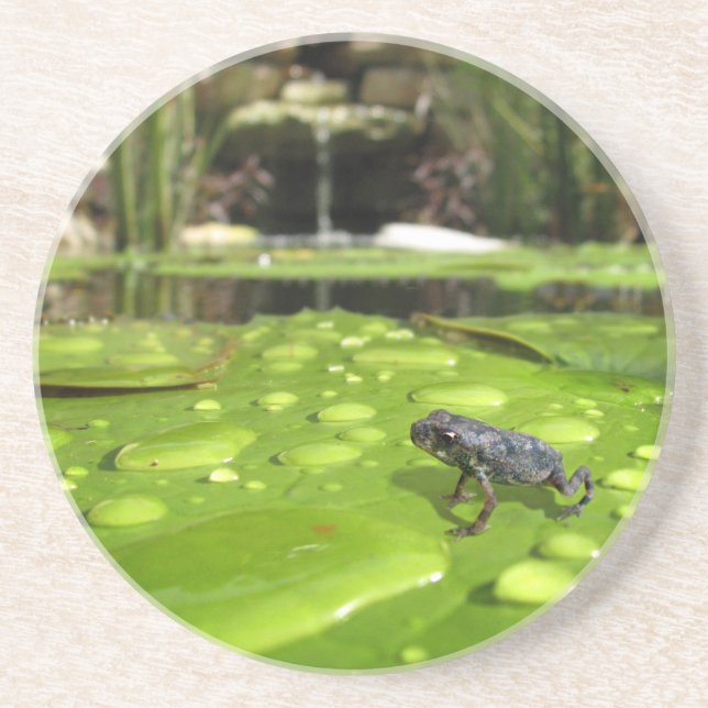 Porta-copos Bebê Toad em Pond (Frente)