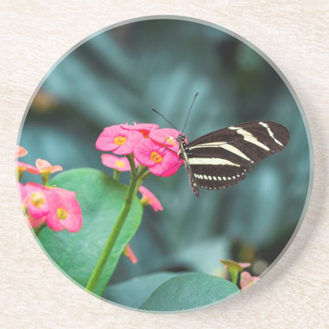 Porta-copos Bela borboleta em uma flor rosa (Frente)