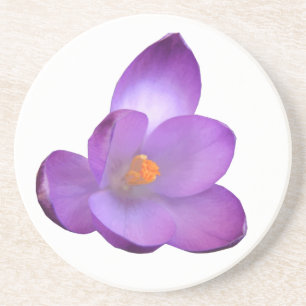 Porta-copos Belas Portas copos de flores de Crocus
