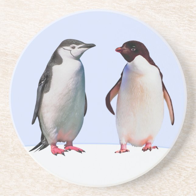 Porta-copos Belo casal de pinguins em azul claro (Frente)