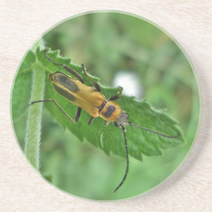 Porta-copos Besouro Soldado Goldenrod