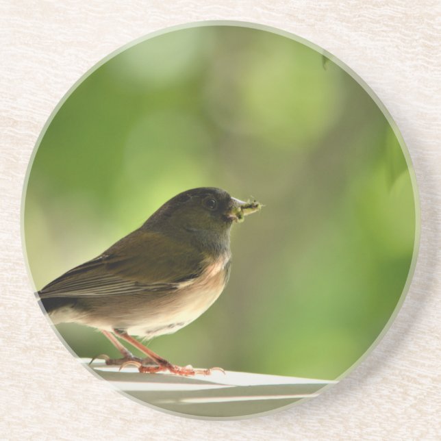 Porta-copos Bird in green leaves background (Frente)