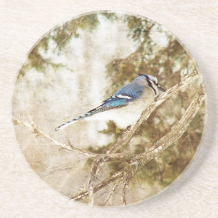 Porta-copos Blue Jay