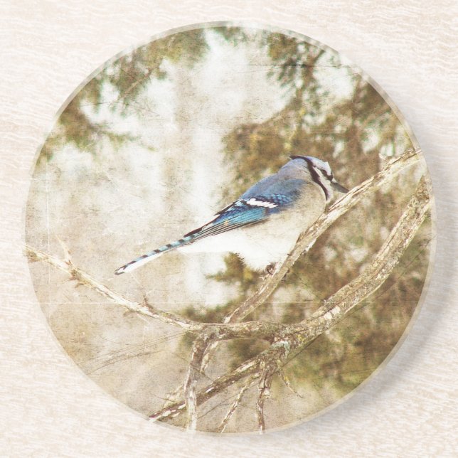 Porta-copos Blue Jay (Frente)