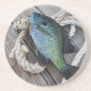Porta-copos bluegill no doca