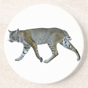 Porta-copos Bobcat