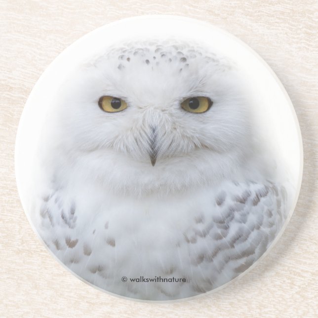 Porta-copos Bonita, Dreamy e Serene Snowy Owl (Frente)