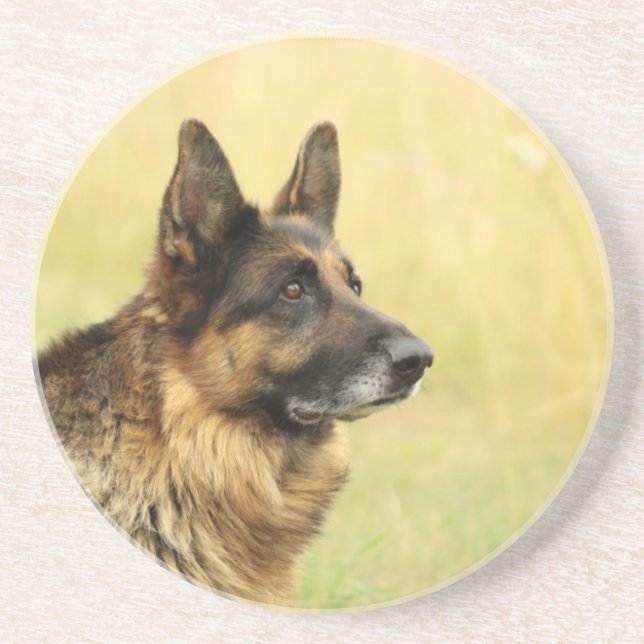 Porta copos bonito do german shepherd (Frente)