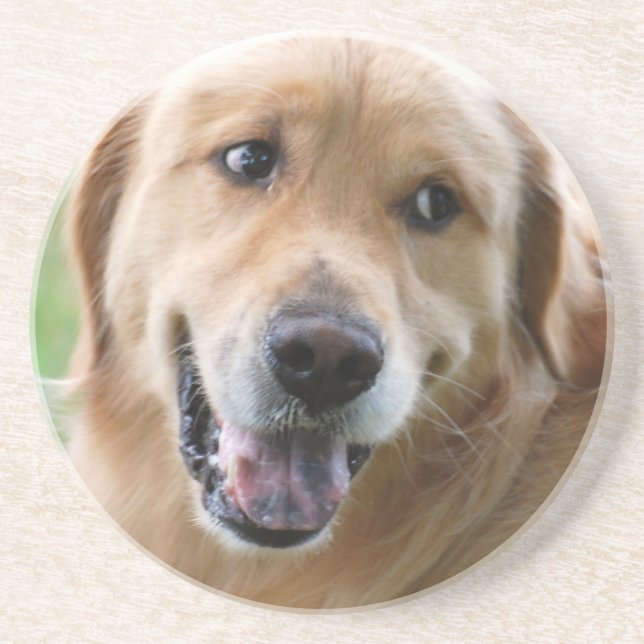 Porta copos bonito do golden retriever (Frente)