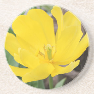 Porta-copos bonito flor de tulipa amarela. horta floral
