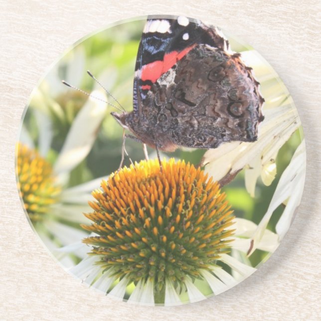 Porta-copos Borboleta Almirante na Flor (Frente)