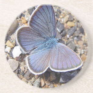 Porta-copos Borboleta Hellblauer