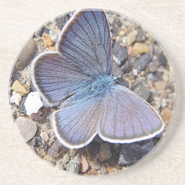 Porta-copos Borboleta Hellblauer (Frente)