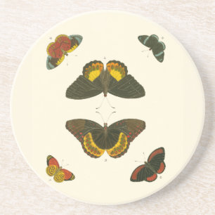 Porta-copos Borboletas Brilhantes por Pieter Cramer