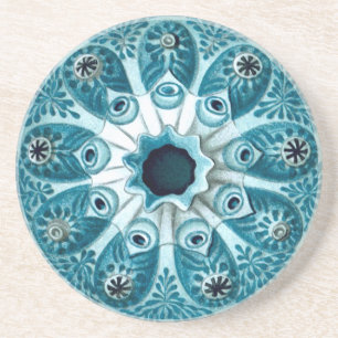 Porta-copos Botryllus Polycyclus Ernst Haeckel Belas Artes