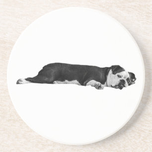 Porta-copos Bulldog preguiçoso, Mesa Neat