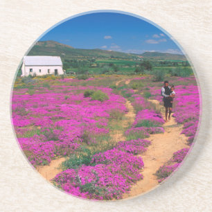 Porta-copos Cabana, Flores E Menina, Perto de Kamieskroon