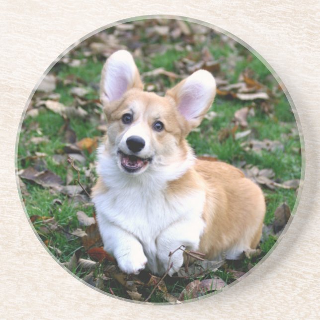 Porta-copos Cachorro Corgi Corgês Cortado Pulando (Frente)