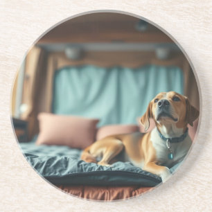 Porta-copos Cachorro na Cama