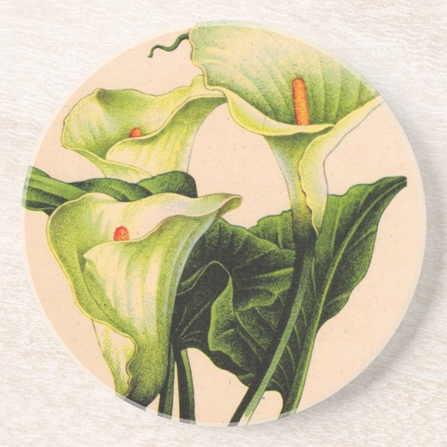 Porta-copos calla lily calla lily (Frente)