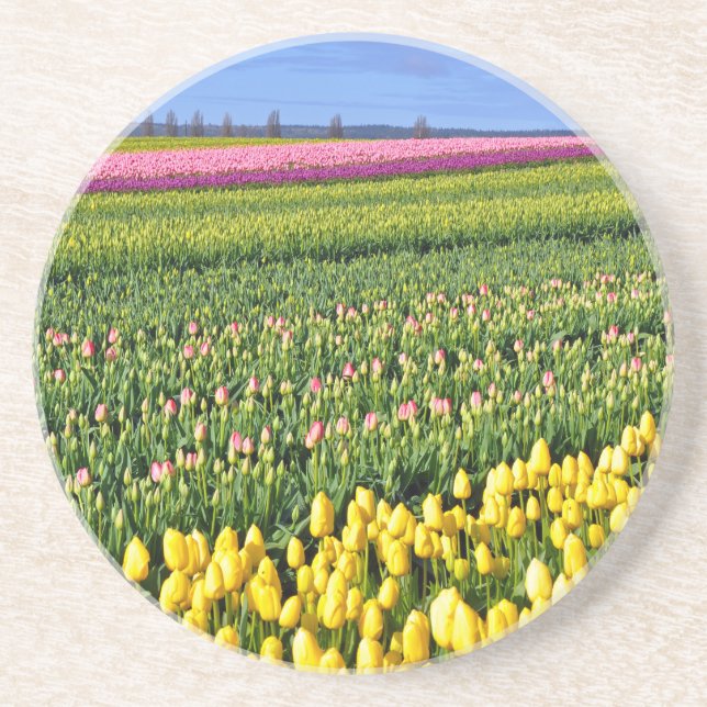 Porta-copos campo de primavera tulipas (Frente)