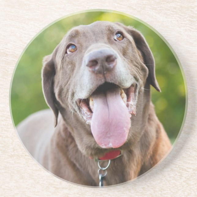 Porta-copos Cão de Chocolate (Frente)