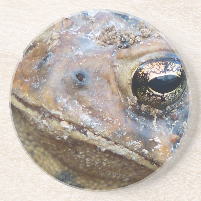 Porta-copos Cara de sapo (Frente)