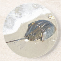 Caranguejo em ferradura
