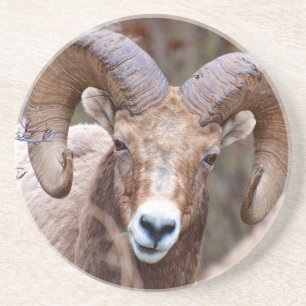 Porta-copos Carneiro Bighorn das Montanhas Rochosas