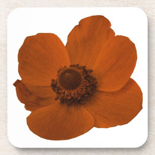 Porta copos Castanho Anemone Cork