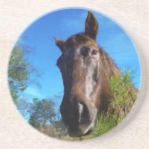 Porta-copos Castanho e Creme Corante Canto Azul