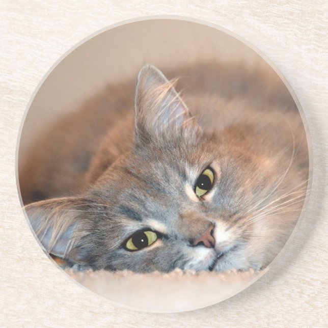 Porta-copos Cat Russo Azul de Cabelo Longo por Shirley Taylor (Frente)