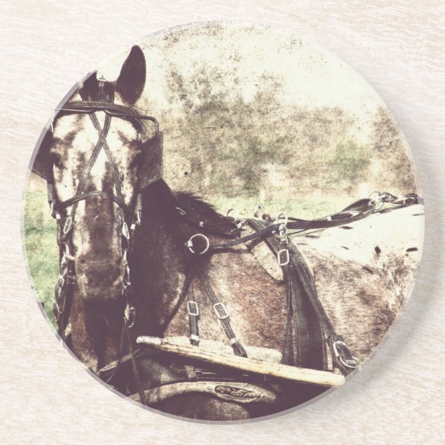 Porta-copos Cavalo Appaloosa (Frente)