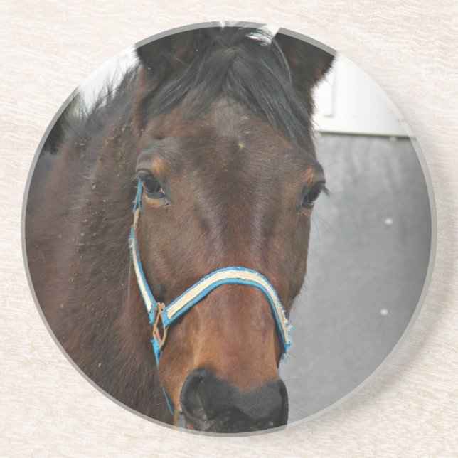 Porta-copos cavalo feliz (Frente)