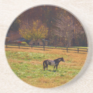Porta-copos Cavalo Pintado à Distância