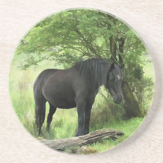 PORTA-COPOS CAVALOS (Frente)