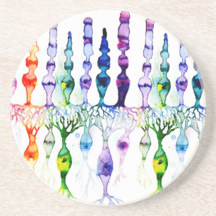 Porta-copos Células-do-mar e neurônio bipolar da retina