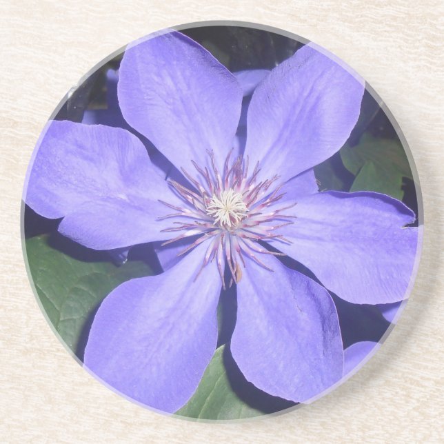 Porta-copos Césarine (Frente)