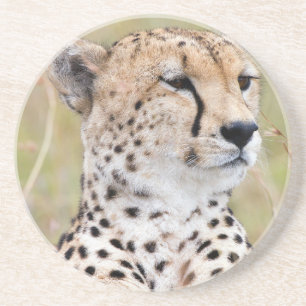 Porta-copos Cheetah