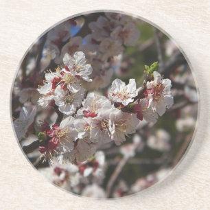 Porta-copos Cherry Blossoms