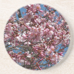 Porta-copos Cherry Blossoms e Blue Sky Primavera Floral