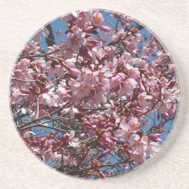Porta-copos Cherry Blossoms e Blue Sky Primavera Floral (Frente)