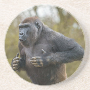 Porta-copos Chest Beating Gorilla