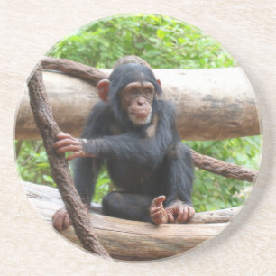 Porta-copos Chimpanzé 001