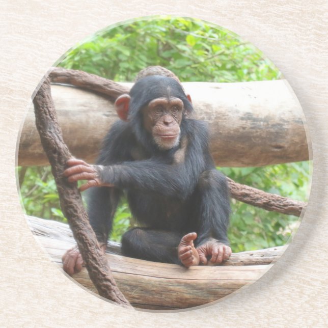Porta-copos Chimpanzé 001 (Frente)