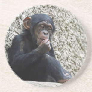 Porta-copos Chimpanzé 013