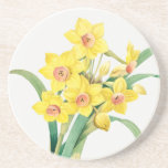 Porta-copos Chinese Sacred Lily, Pierre-Joseph Redouté,<br><div class="desc">Pierre-Joseph Redouté,  1805
... ..Narcissus tazetta,  paperwhite,  french,  flowers,  floral,  botanical print,  vintage,  retro,  bright,  bold,  vivid,  vibrant,  nature,  natural,  formal,  sophisticated,  minimalist,  minimalism,  orange,  yellow,  green,  delicate,  elegant,  sophisticated,  stately,  chic,  drawing,  cottagecore</div>