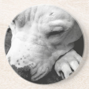 Porta-copos cicatriz do harry potter cachorro pit bull branco
