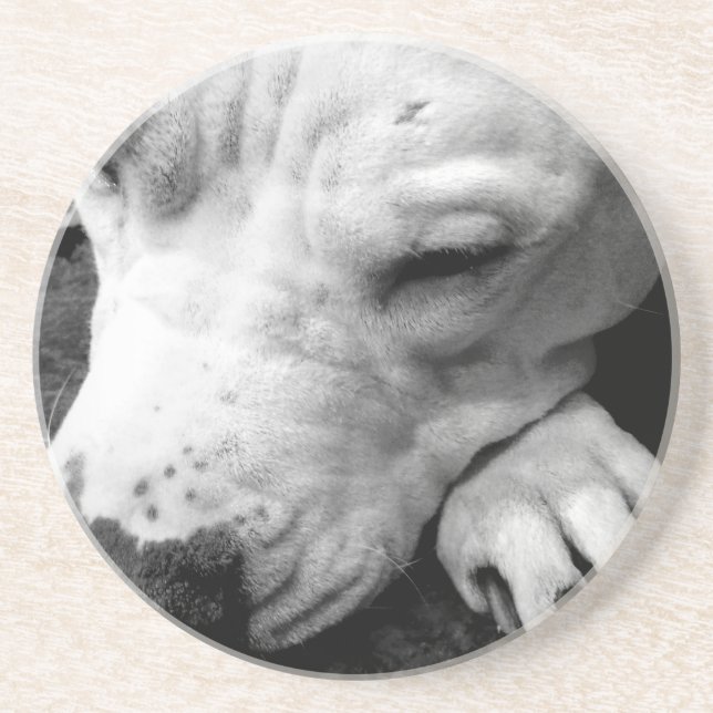 Porta-copos cicatriz do harry potter cachorro pit bull branco (Frente)